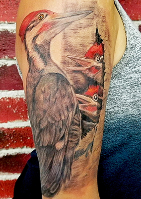 woodpecker tattoo shelly dax 